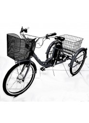 Электровелосипед трехколесный взрослый Etoro Turino 350 фото